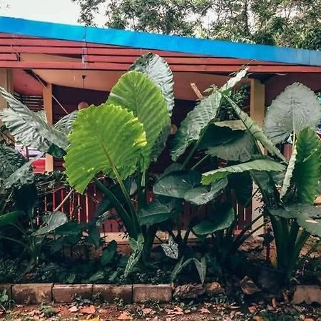 Song Pee Nong Resort Phattalung Phatthalung Exterior photo