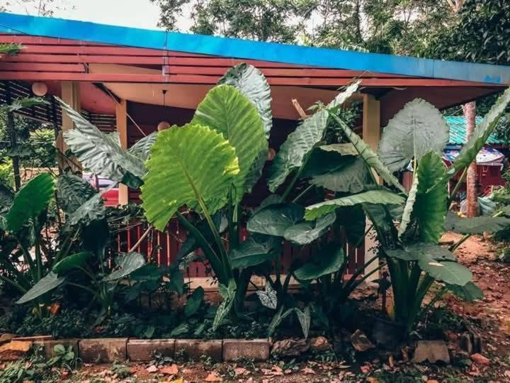 Song Pee Nong Resort Phattalung Phatthalung Exterior photo